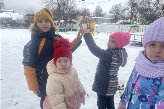 Покормите птиц зимой!