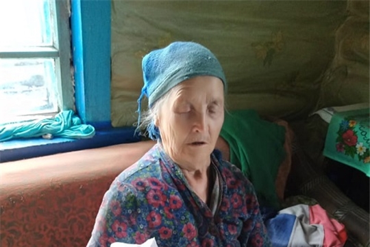 Волонтеры в Тенеевском сельском поселении