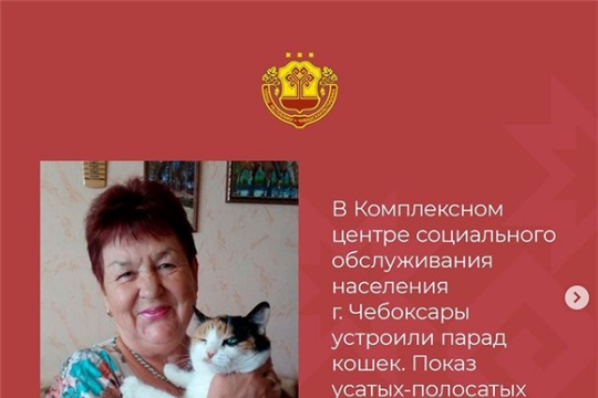 Парад кошек (группа "Чувашская Республика" в социальных сетях)