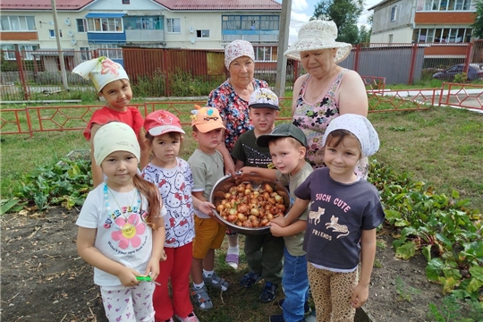 Агролаборатория: Дети с бабушками убирают урожай.