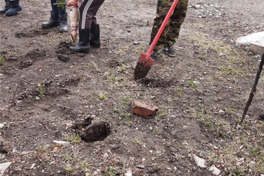 Весенние работы в подсобном хозяйстве