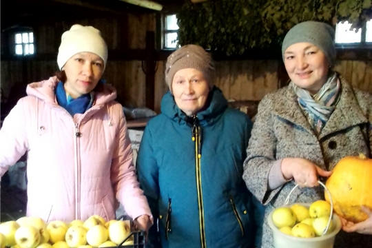 Акция «Все краски осени для Вас» продолжается