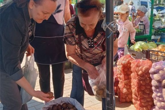 Солим, квасим, маринуем …