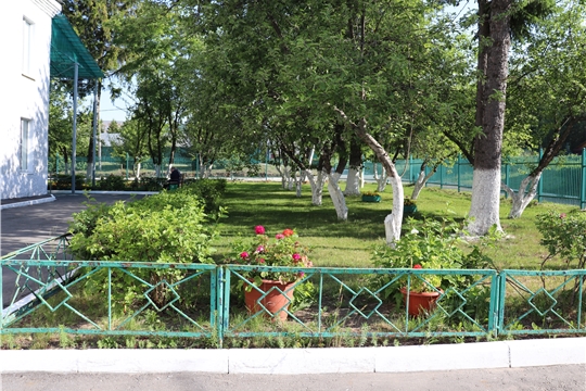 Цветники, клумбы