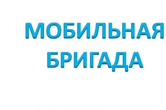 Мобильная бригада