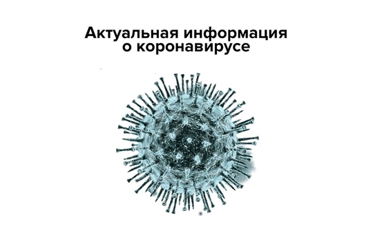 Оперативная информация по COVID-19 в Чувашии на 19 декабря 2021 года
