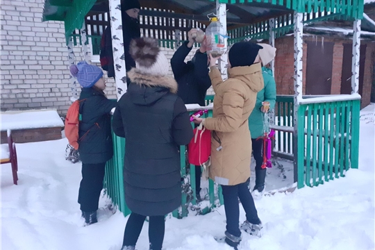 Помоги птицам зимой