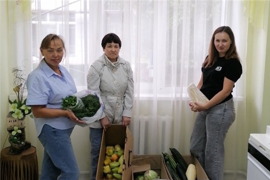 Работники социального центра передали овощи для приготовления сухих супов для участников СВО