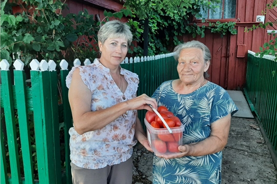 В Порецком муниципальном округе продолжается акция «Поделитесь урожаем»