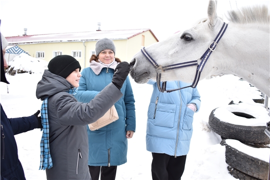 Увлекательная экскурсия в Конно-спортивный комплекс г. Новочебоксарск.