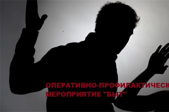 ОПЕРАТИВНО-ПРОФИЛАКТИЧЕСКОЕ МЕРОПРИЯТИЕ "БЫТ"