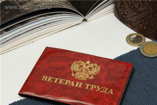О мерах социальной поддержки ветеранам труда  и ветеранам труда Чувашской Республики
